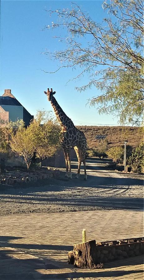 Teri-Lemveli Lodge Beaufort West Exterior photo