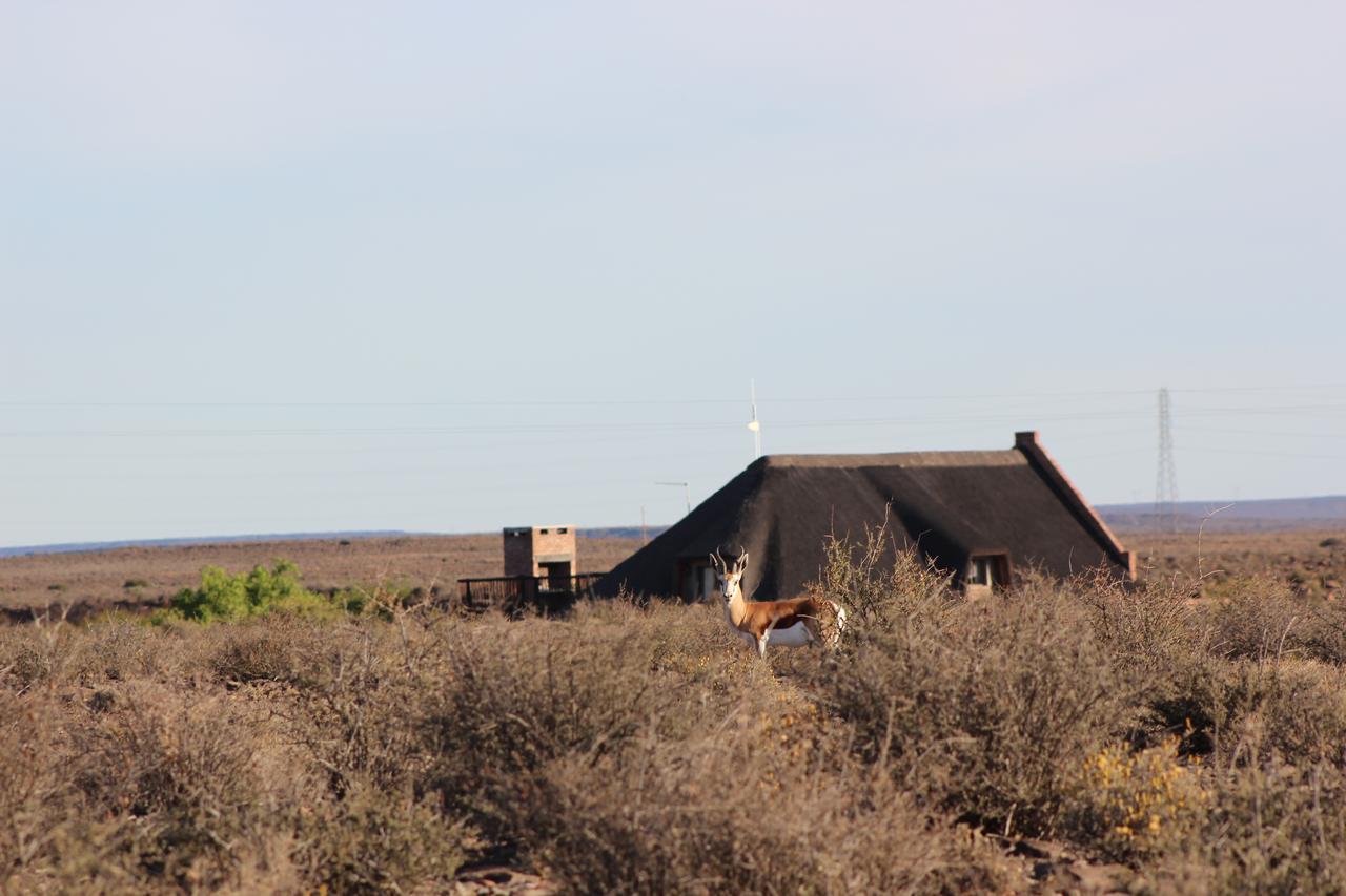 Teri-Lemveli Lodge Beaufort West Exterior photo