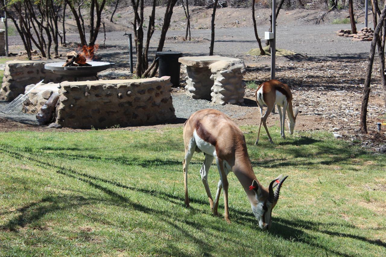 Teri-Lemveli Lodge Beaufort West Exterior photo